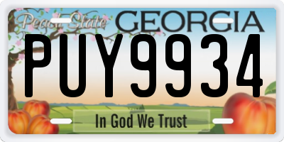 GA license plate PUY9934