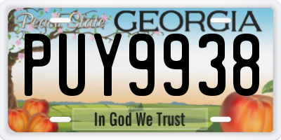 GA license plate PUY9938
