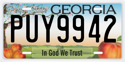 GA license plate PUY9942