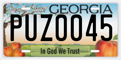 GA license plate PUZ0045