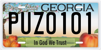 GA license plate PUZ0101