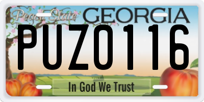 GA license plate PUZ0116