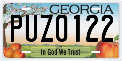 GA license plate PUZ0122