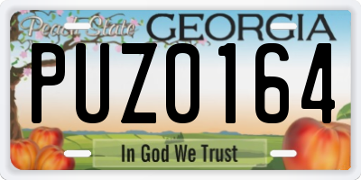 GA license plate PUZ0164