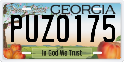 GA license plate PUZ0175