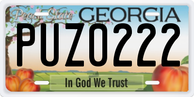 GA license plate PUZ0222