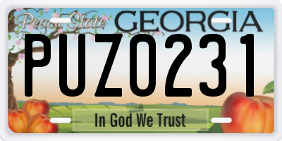 GA license plate PUZ0231