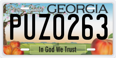 GA license plate PUZ0263