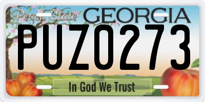 GA license plate PUZ0273