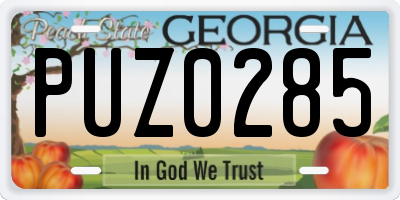 GA license plate PUZ0285