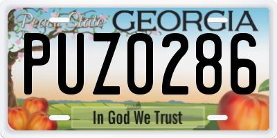 GA license plate PUZ0286