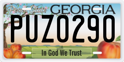 GA license plate PUZ0290