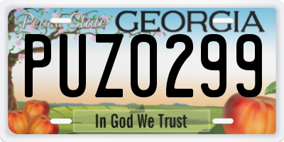GA license plate PUZ0299