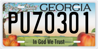 GA license plate PUZ0301