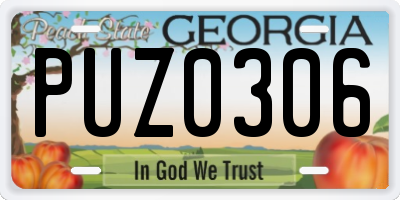 GA license plate PUZ0306