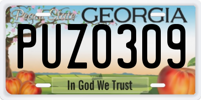 GA license plate PUZ0309