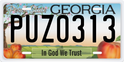 GA license plate PUZ0313