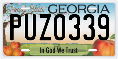 GA license plate PUZ0339