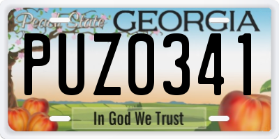 GA license plate PUZ0341