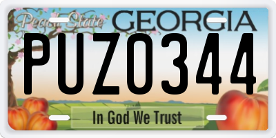 GA license plate PUZ0344