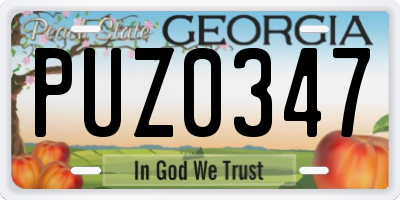 GA license plate PUZ0347