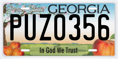 GA license plate PUZ0356
