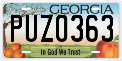 GA license plate PUZ0363
