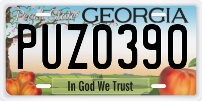 GA license plate PUZ0390