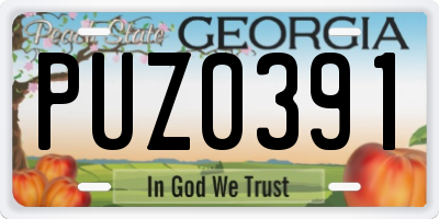GA license plate PUZ0391