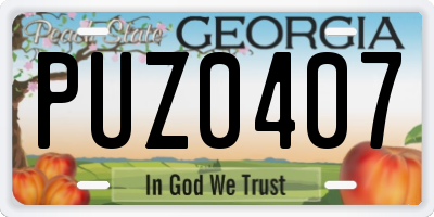 GA license plate PUZ0407