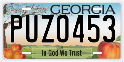 GA license plate PUZ0453