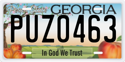 GA license plate PUZ0463
