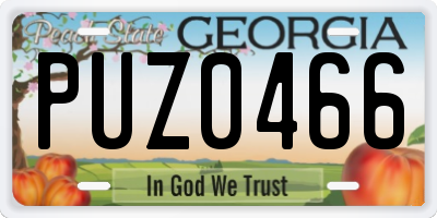 GA license plate PUZ0466