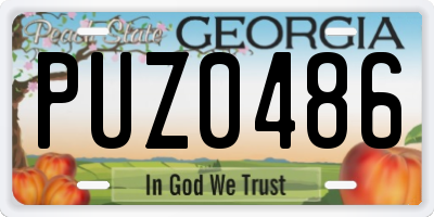 GA license plate PUZ0486