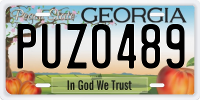 GA license plate PUZ0489