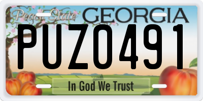 GA license plate PUZ0491