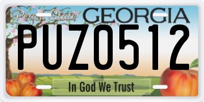 GA license plate PUZ0512