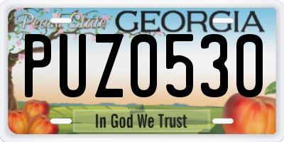 GA license plate PUZ0530