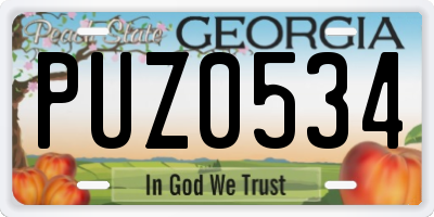 GA license plate PUZ0534