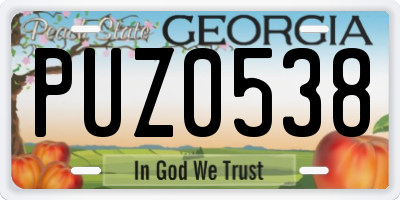 GA license plate PUZ0538