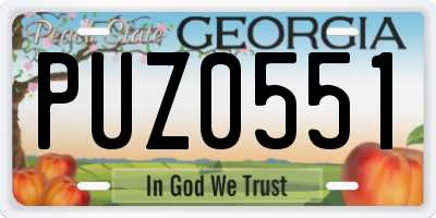 GA license plate PUZ0551