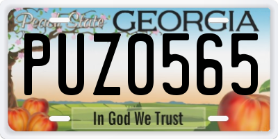GA license plate PUZ0565