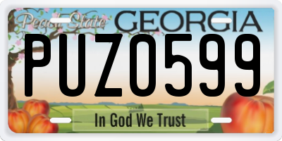 GA license plate PUZ0599