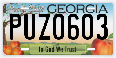 GA license plate PUZ0603