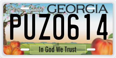 GA license plate PUZ0614