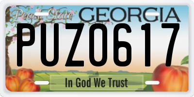 GA license plate PUZ0617