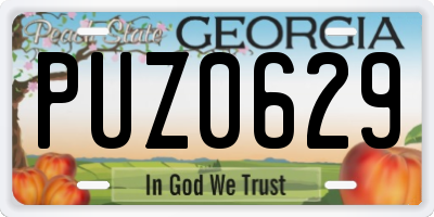 GA license plate PUZ0629