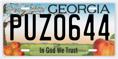 GA license plate PUZ0644