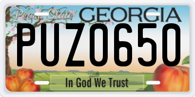 GA license plate PUZ0650
