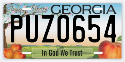GA license plate PUZ0654